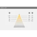 Produktbild von FORMAT - Möbel-LED-Anbauleuchte, cabinet, 2,4W, neutralweiß, schwarz