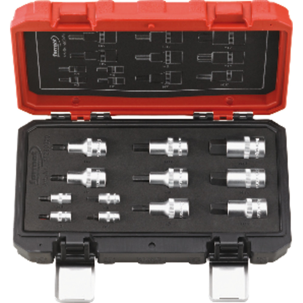 FORMAT Schraubendrehereinsatz-Satz 1/4" und 1/2" Innensechskant Produktbild img1 L