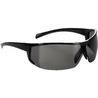 FORTIS Bügelbrille Polaris, schwarz/grau Produktbild