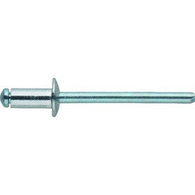 Produktbild von FORTIS - Blindniet Standard Flachrundkopf 4 x 14mm, 100 Stück