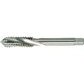 forum Sackloch-Maschinengewindebohrer, HSS-E, blank, Metrisch, Einschnittgewindebohrer, Produktbild img1 S