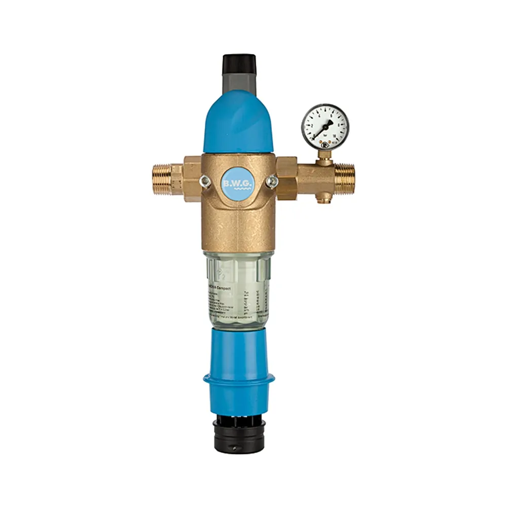 RIEGLER Rückspülfilter mit Druckregler, DVGW-geprüft, R 1 1/4 (100.54) Produktbild img2 L