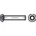 Produktbild von NOBRAND - Linsenschraube ISO 7380-1 Stahl 10.9 galZn T-Profil M5 x 30mm