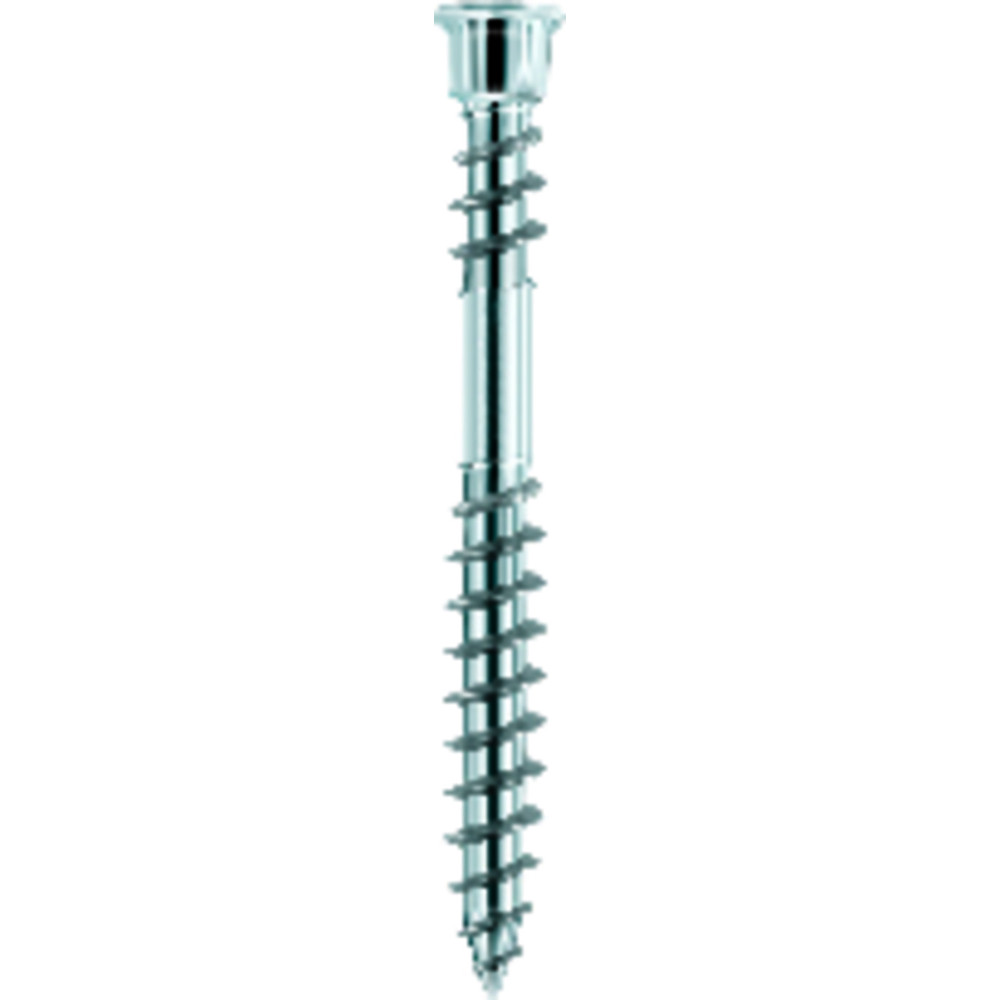 Eurotec® Terrassotec Terrasenbauschraube, Edelstahl, gehärtet Produktbild img1 L
