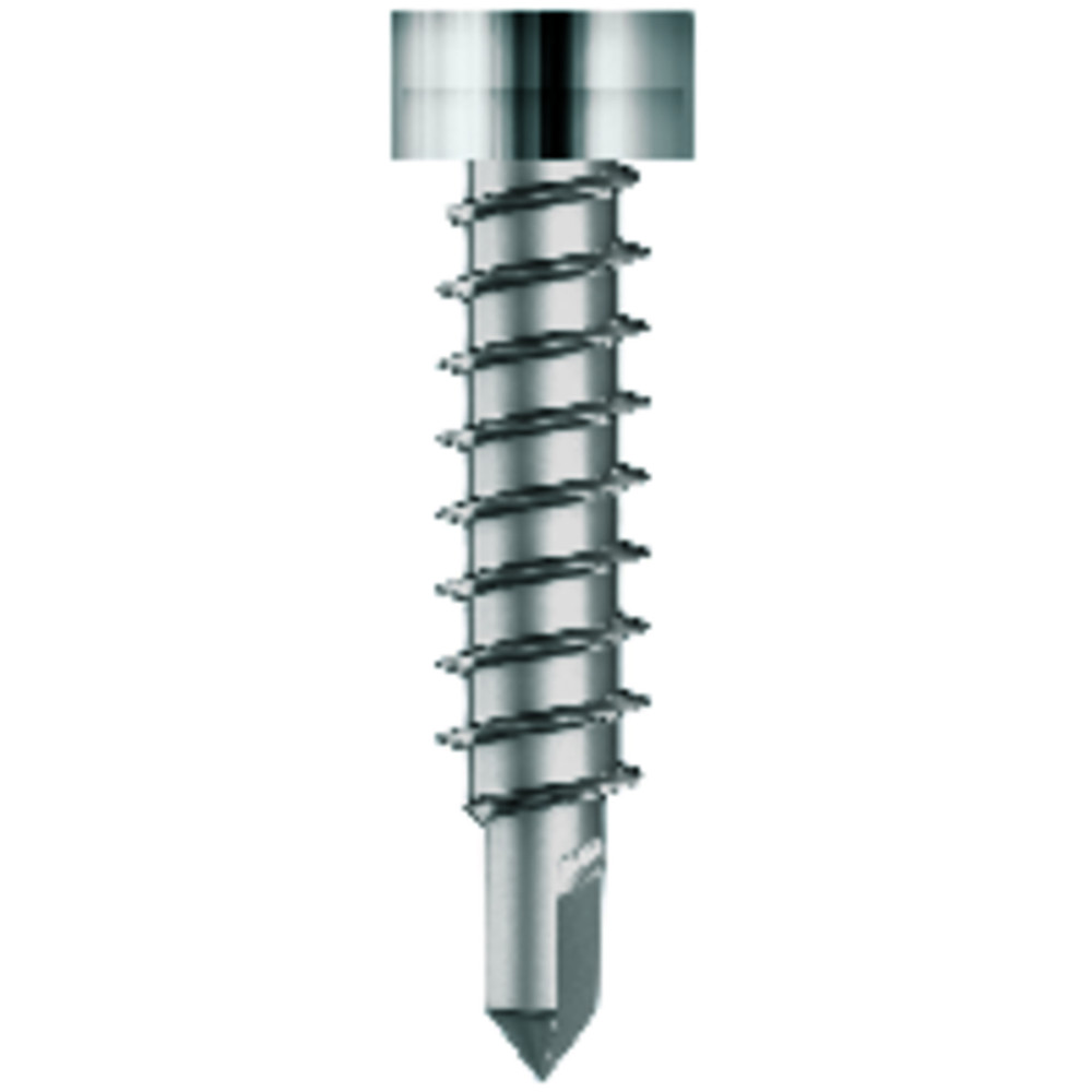 Eurotec® Thermofixschraube Edelstahl gehärtet 4,2 x 22mm Produktbild img1 L
