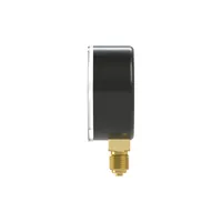 Produktbild von RIEGLER - Standardmano, Kunststoff, G 1/4 unten, 0 - 25,0 bar/360 psi, Ø 63 (11