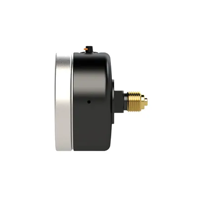 Produktbild von RIEGLER - Glyzerinmano., Metallgeh., G 1/4 hinten zentr., 0-100,0 bar, Ø 63 (81