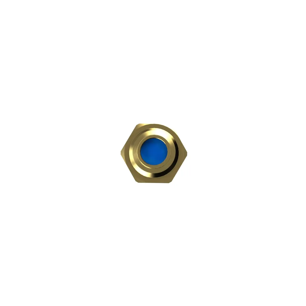 RIEGLER Sicherheitsventil DN 8, Messing, G 1/2, Ansprechdruck 5,5 bar (226.03-5,5) Produktbild img3 L