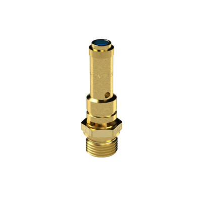 Produktbild von RIEGLER - Sicherheitsventil DN 8, Messing, G 1/4, Ansprechdruck 27,9 bar (226.0