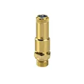 Produktbild von RIEGLER - Sicherheitsventil DN 10, Messing, G 1/2, Ansprechdruck 5,5 bar (227.5