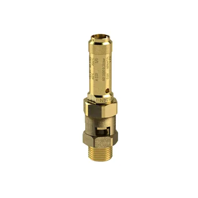 Produktbild von RIEGLER - Sicherheitsventil, Messing, G 1 1/4, Ansprechdruck 3 bar (229.04-3,0)