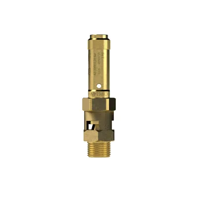 Produktbild von RIEGLER - Sicherheitsventil, Messing, G 1 1/4, Ansprechdruck 3 bar (229.04-3,0)