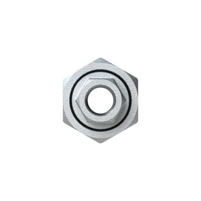 Produktbild von RIEGLER - Verschraubung 340, IG/IG, Rp/Rp 3/8, schw. Temperguss feuerverz. (TFV