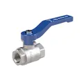 Produktbild von RIEGLER - Kugelhahn »valve line«, Handhebel blau, MS vern., IG/IG, G 2 (334.09-