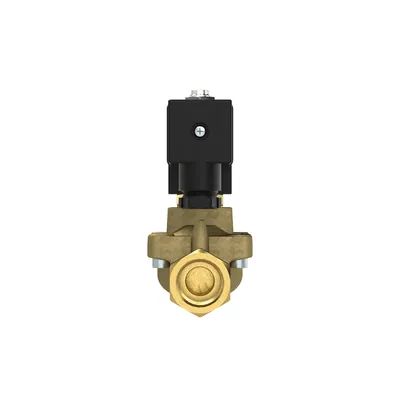 Produktbild von RIEGLER - 2/2 MV, NO, MS, G 3/8, DN13, PN 0,5-12, FPM, vorgest., 110V AC (MVB.3