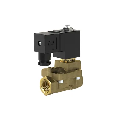 Produktbild von RIEGLER - 2/2 MV, NO, MS, G 3/8, DN13, PN 0,5-12, FPM, vorgest., 110V AC (MVB.3