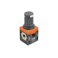 Produktbild von RIEGLER - Druckregler »SYNTESI«, BG1, ohne Buchsen, 0…4 bar, o. Mano. (5610R120