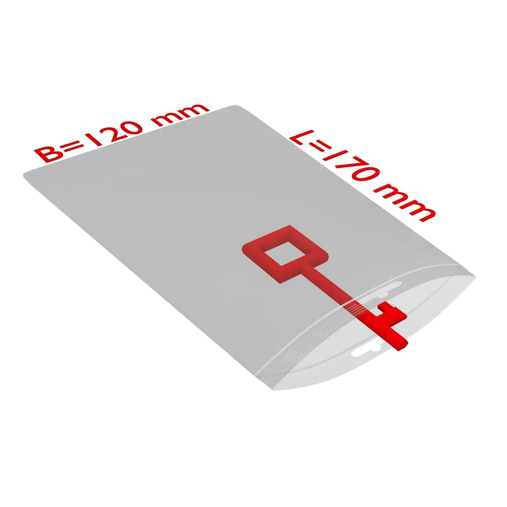 Verschlussbeutel, 50µm Produktbild img1 L