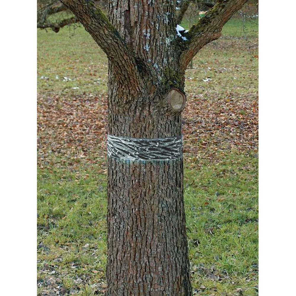 SWISSINNO SOLUTIONS Raupen-und Ameisenleimring 5m x 5cm Produktbild img9 L