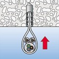 Produktbild von fischer - Steckfix plus Einzelschelle SF plus ES 10