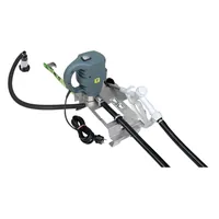 TECALEMIT Elektropumpe Hornet W85 H INOX light Produktbild