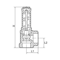 RIEGLER Eck-Sicherheitsventil, Flüssigkeiten, G 3/4, Ansprechdruck 6 bar (221.04-6,0) Produktbild