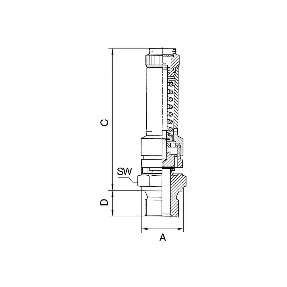 RIEGLER Sicherheitsventil DN 10, Messing, G 3/4, Ansprechdruck 41 bar (227.66-41,0) Produktbild img1 L