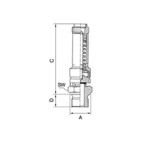 RIEGLER Sicherheitsventil DN 8, Messing, G 3/8, Ansprechdruck 31 bar (226.02-31,0) Produktbild