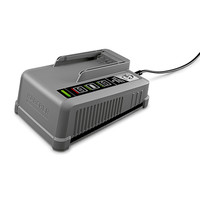 Kärcher Schnellladegeraet Battery Power+ 36/60 * Produktbild