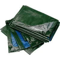 Rainexo Abdeckplane Produktbild