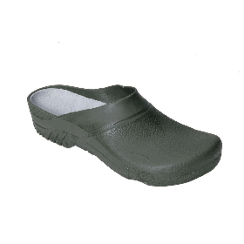 feldtmann Bio-Clogs EFEU Produktbild img1 L