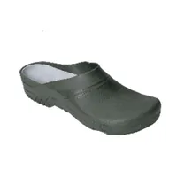 feldtmann Bio-Clogs EFEU Produktbild