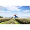 Produktbild von Bata Industrials® - Sicherheits-Halbschuh, BICKZ 203, S3, 7146622300, Größe 46