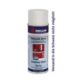 Produktbild von RIEGLER - Edelstahl-Spray, Temperatur max. 300 °C, 400 ml (3240/400)