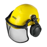 Kärcher Helm-Kopfschutzkombination Produktbild