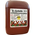Burtex B.-Carbolin Holzanstrich 10 l Kunststoff-Kanister Produktbild