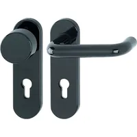 HOPPE® Wechselgarnitur Paris FS-K58/202K/138, KS,PZ72/9,F9005M,TS 40-66 Produktbild