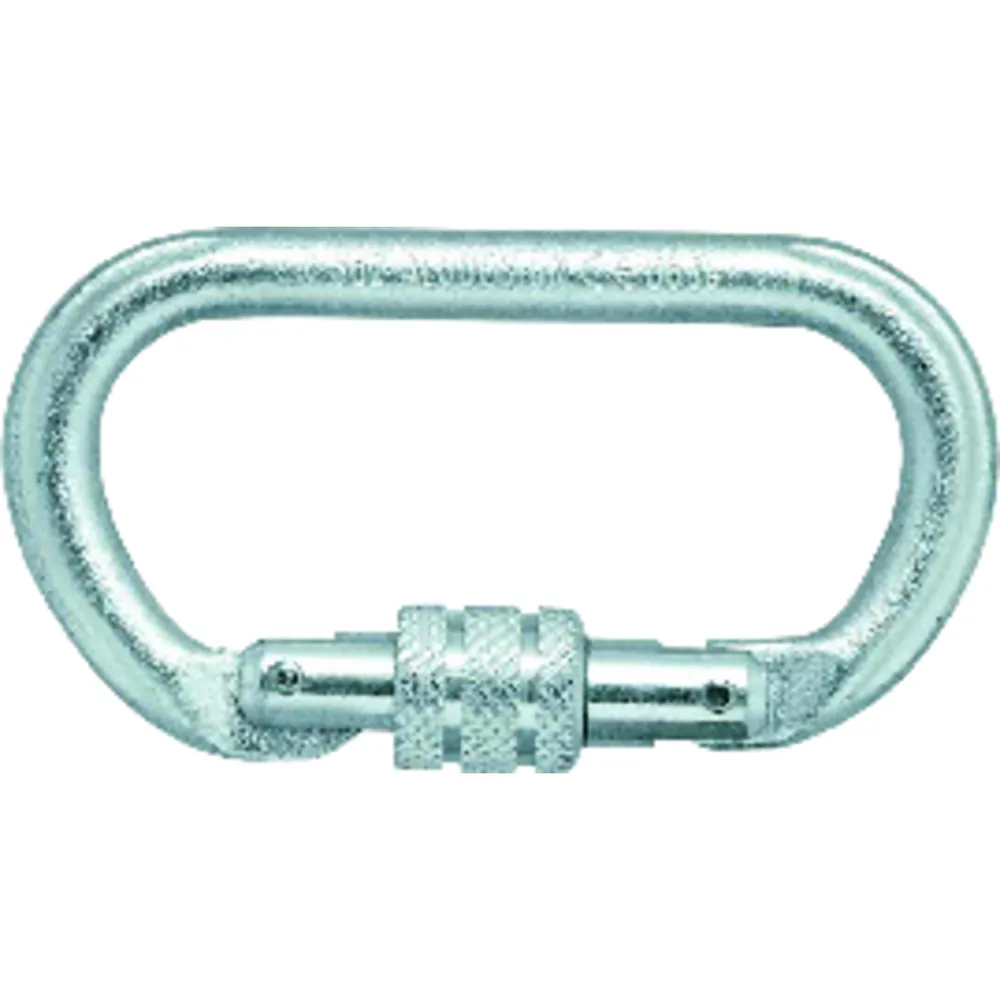 SKYLOTEC Karabiner OVALSTEEL S H-037 grau Produktbild img1 L