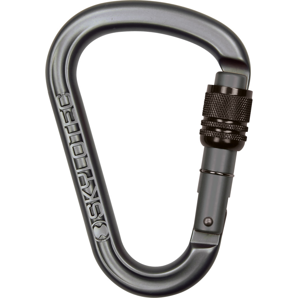 SKYLOTEC Karabiner PASSO-SC H-137-SC-03 grau Produktbild img1 L