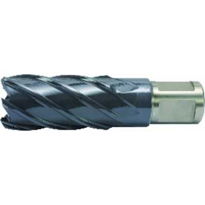 Produktbild von ALFRA® - Kernbohrer HSS-Co RQX 12 x 25mm