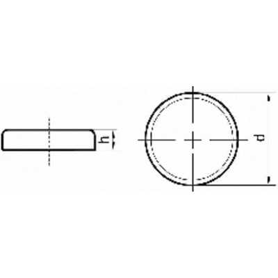 Produktbild von beloh - Neodym-Magnet-Flachgreifer ohne Gewindebuchse20 x 6,0mm