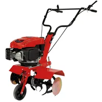 Einhell Benzin-Bodenhacke GC-MT 2560 LD Produktbild