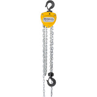 YALE VSIII Flaschenzug 0,25t/1 3m Hub Produktbild