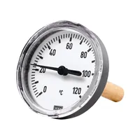 RIEGLER Bimetallthermom., G 1/2 hi., Tauchschaftlänge 100mm Ø63, bis 120° (4606) Produktbild