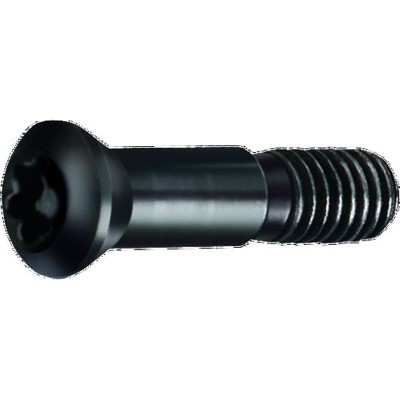 Produktbild von GÜHRING® - Spannschraube 4071 Werksnorm blank T20 M5 x 21,75mm