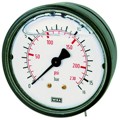 Produktbild von RIEGLER® - Glyzerinmanometer, Kunststoff, G 1/4" hinten zentrisch, 0-160,0 bar,