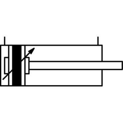 Produktbild von RIEGLER® - Normzylinder »SE« doppeltwirkend, Kolben-Ø 125, Hub 900, G 1/2"