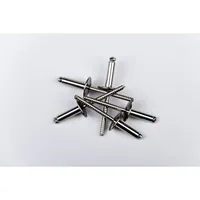 Produktbild von MASTERFIX® - MFX Blindniete Edelstahl/Edelstahl, Flachrundkopf ø4,0 x 6mm