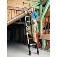 ZARGES Teleskop Anlegeleiter Z300 LM Produktbild