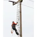 ZARGES Mast-Oberleiter 10 Spr., H 2.800mm, Anzahl Leiterteile 1 Produktbild img3 S